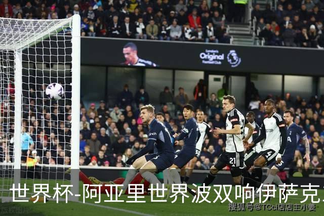世界杯-阿亚里世界波双响伊萨克1射2传 瑞典5-1突尼斯
