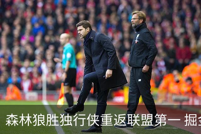 森林狼胜独行侠重返联盟第一 掘金胜篮网3连胜