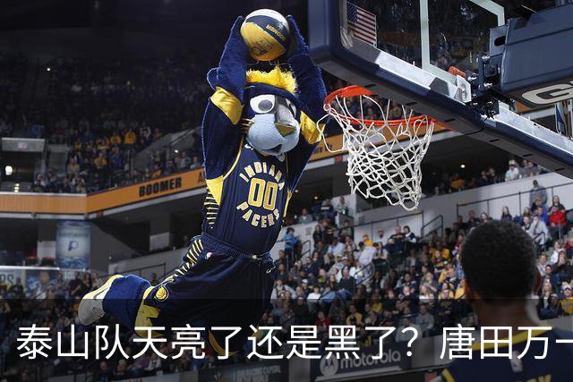泰山队天亮了还是黑了？唐田万一赢了海港呢！陈蒲致歉，球迷并不买账