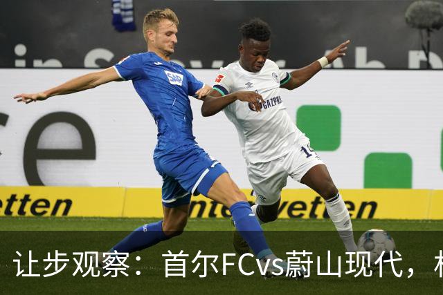 让步观察：首尔FCvs蔚山现代，机构2.5泊松分布只看2/2.5