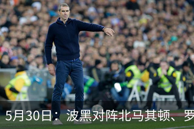 5月30日：波黑对阵北马其顿、罗森博格对阵博德闪耀
